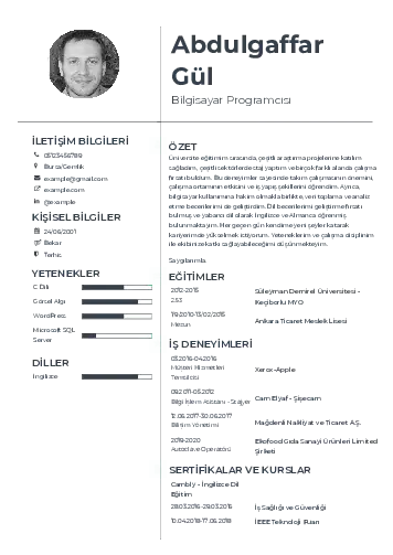Bilgisayar Programcısı CV Örnekleri cv indir